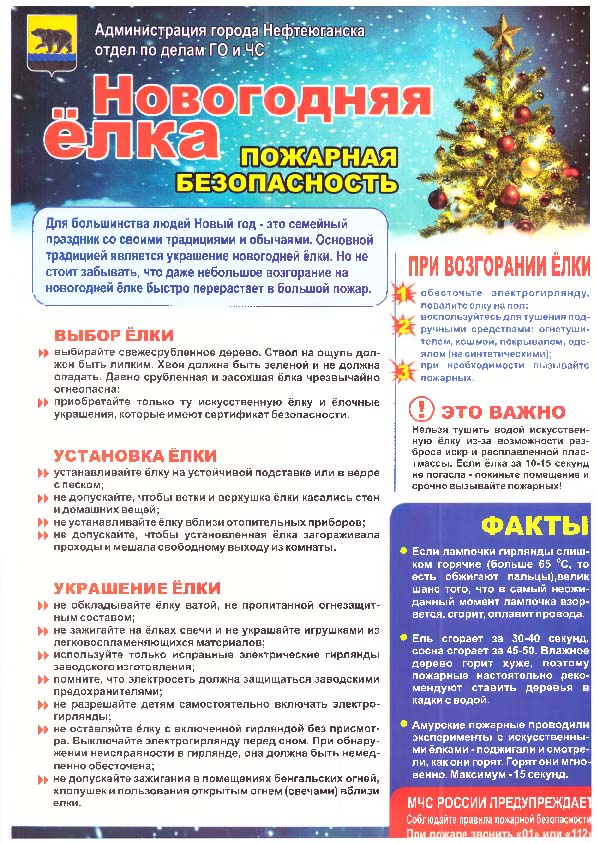 Безопасность В Период Новогодних Праздников Безопасность В Период Новогодних Праздников