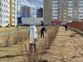 obshhegorodskoj-subbotnik-03