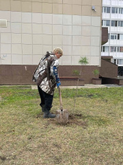 tree-seedlings_05